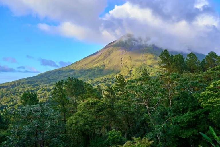 Costa Rica Nature Photography Tips