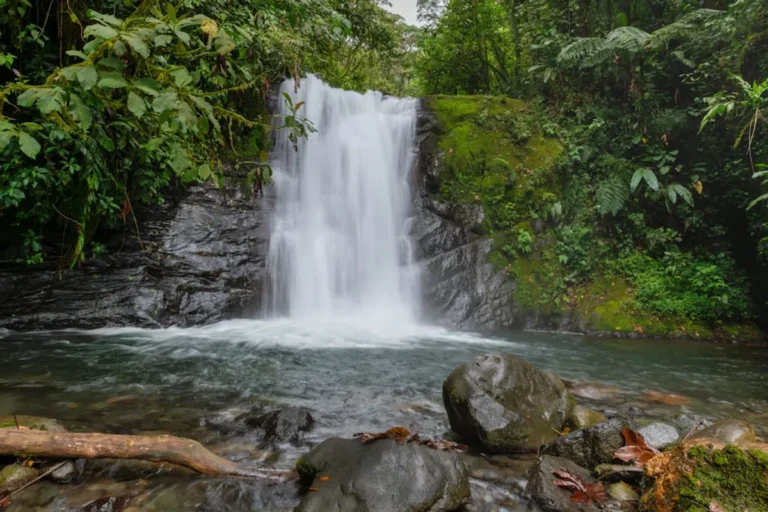 Costa Rica Road Trip Guide