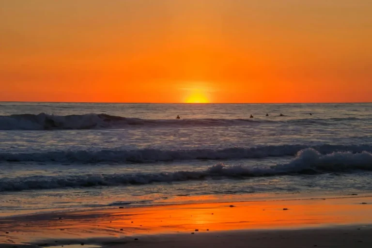 On the Pura Vida Phrase and What It Actually Means