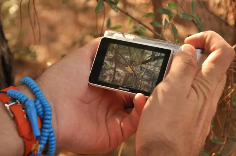 Wildlife Watching Guide for Costa Rica